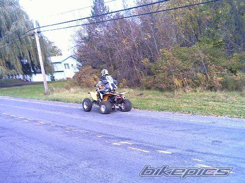 Photo 259220