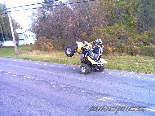 Photo 259221