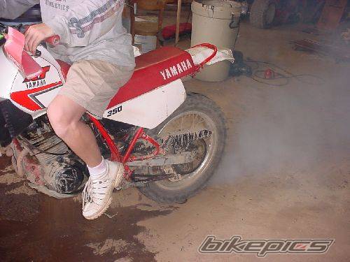 Photo 259222