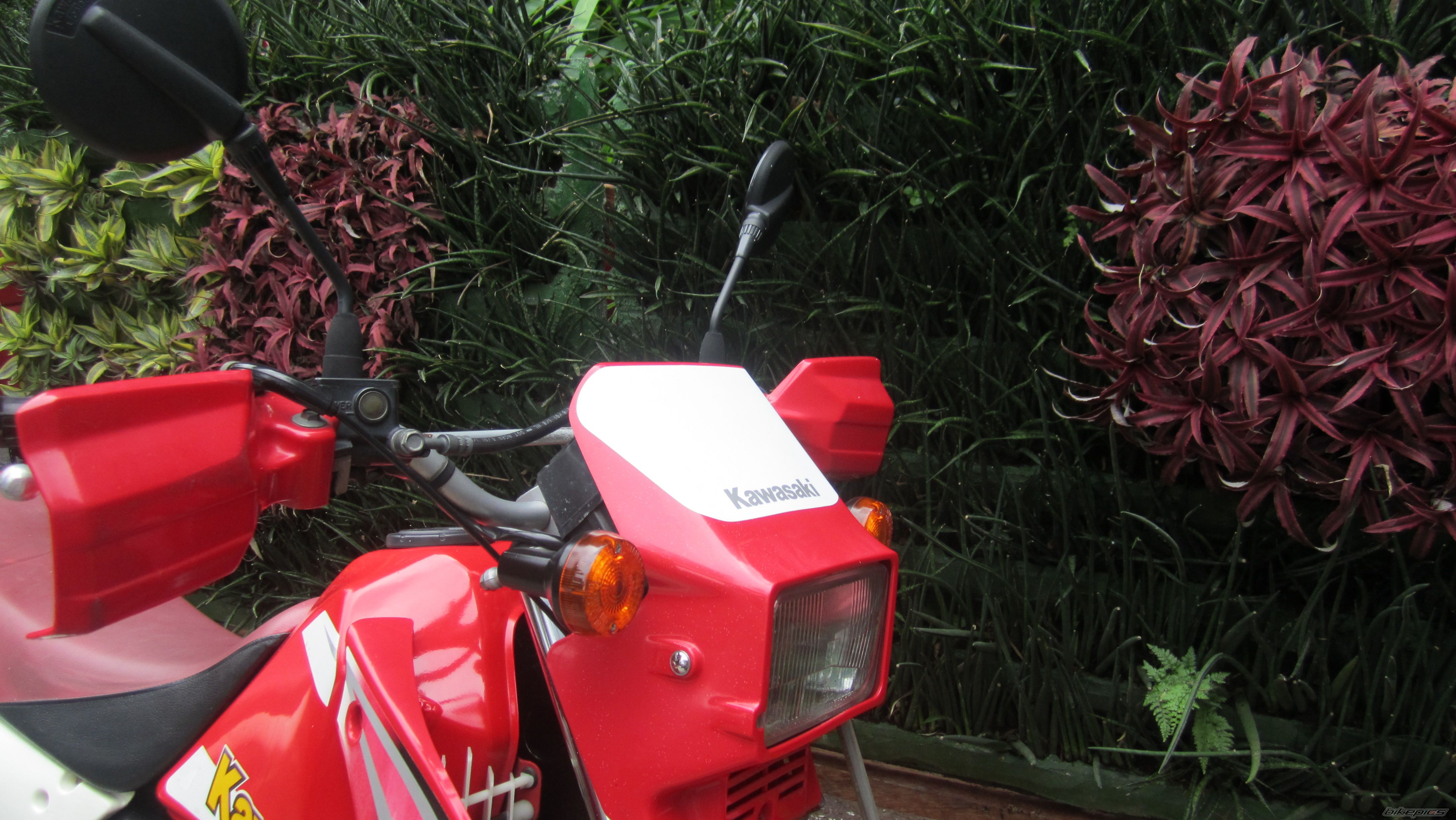 Photo 2592220