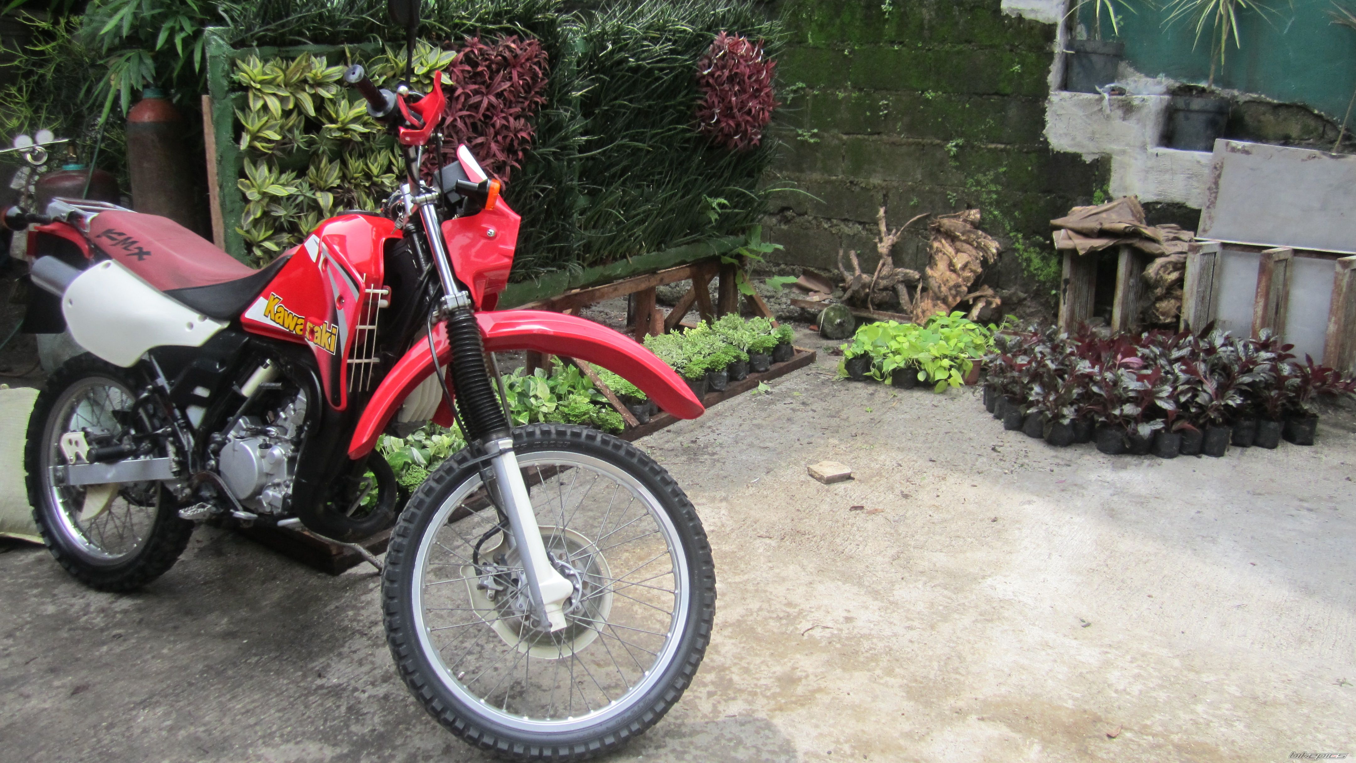 Photo 2592224