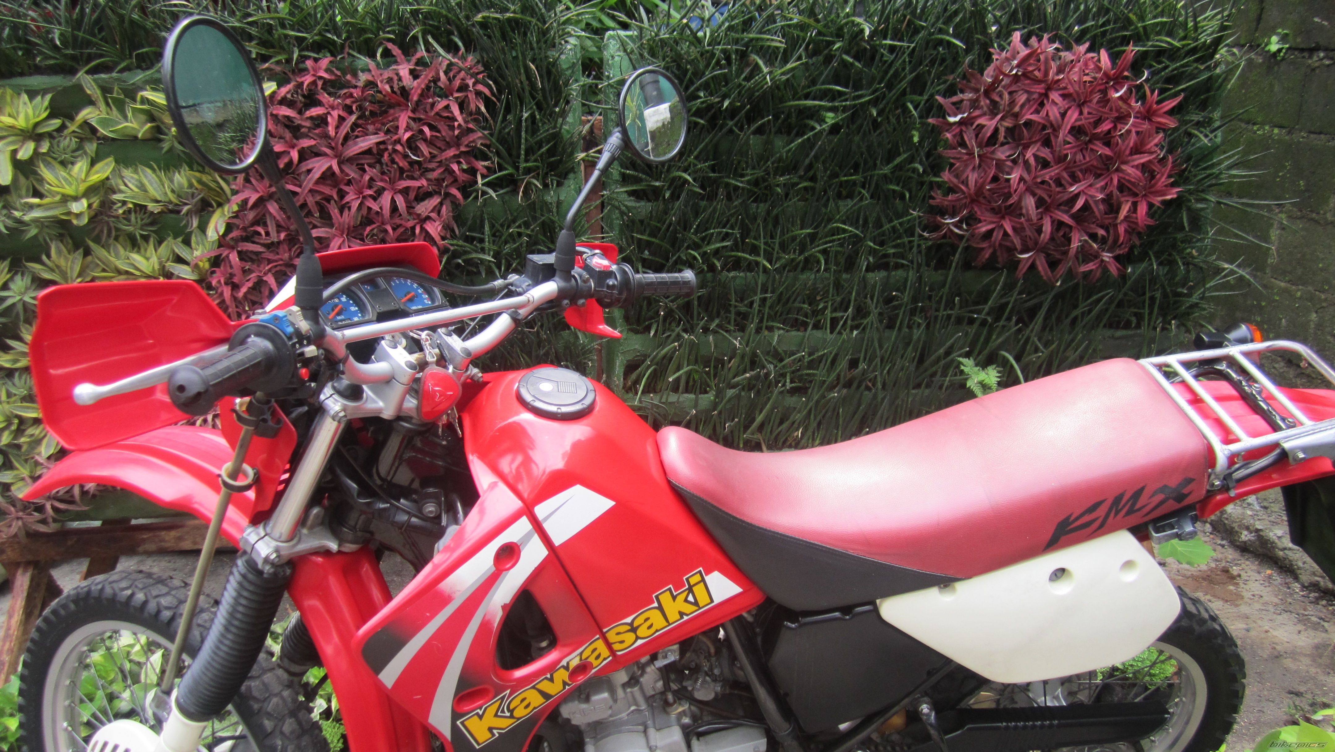 Photo 2592230