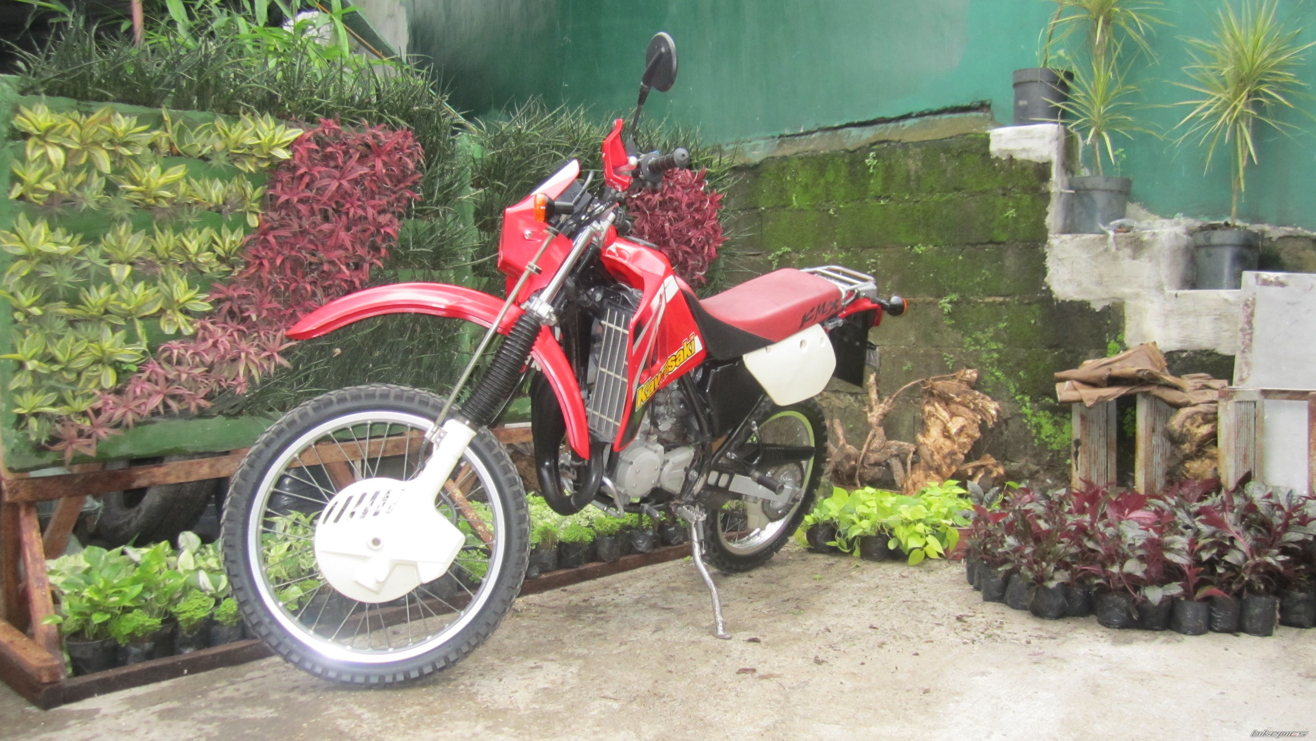 Photo 2592232