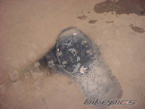 Photo 259225