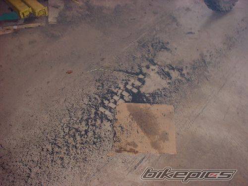 Photo 259226