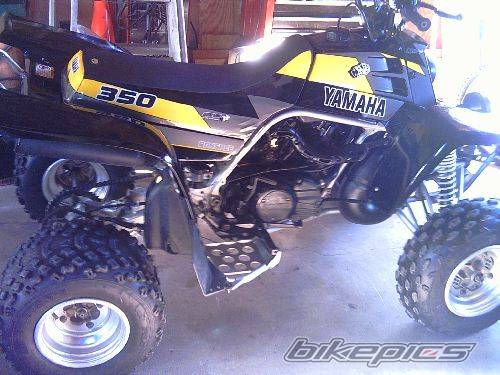 Photo 259227