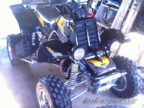 Photo 259228