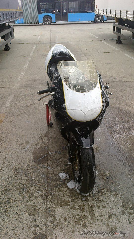 Photo 2592313