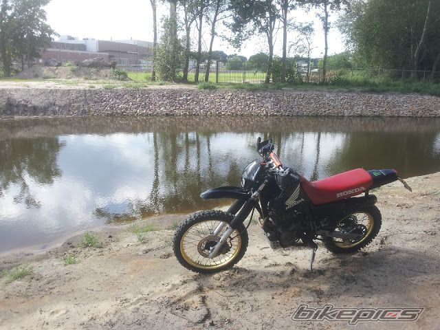 Photo 2592427
