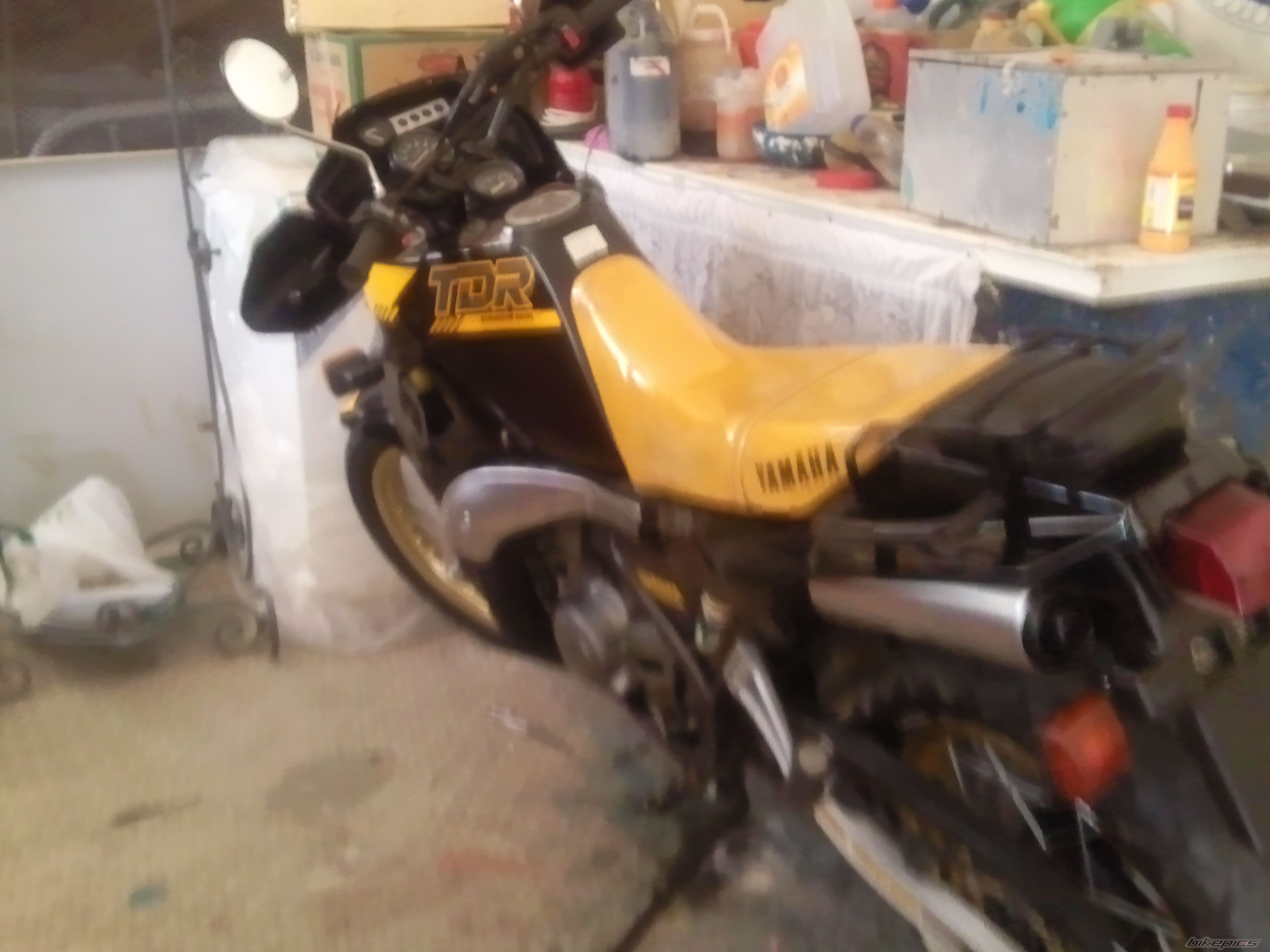 Photo 2592480