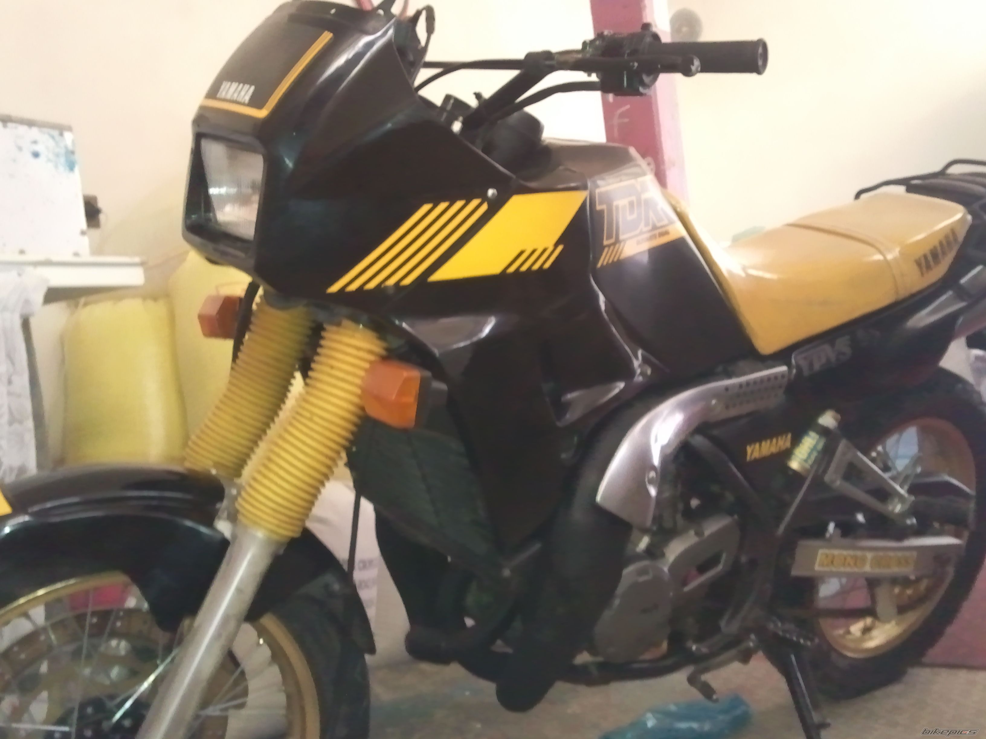 Photo 2592481