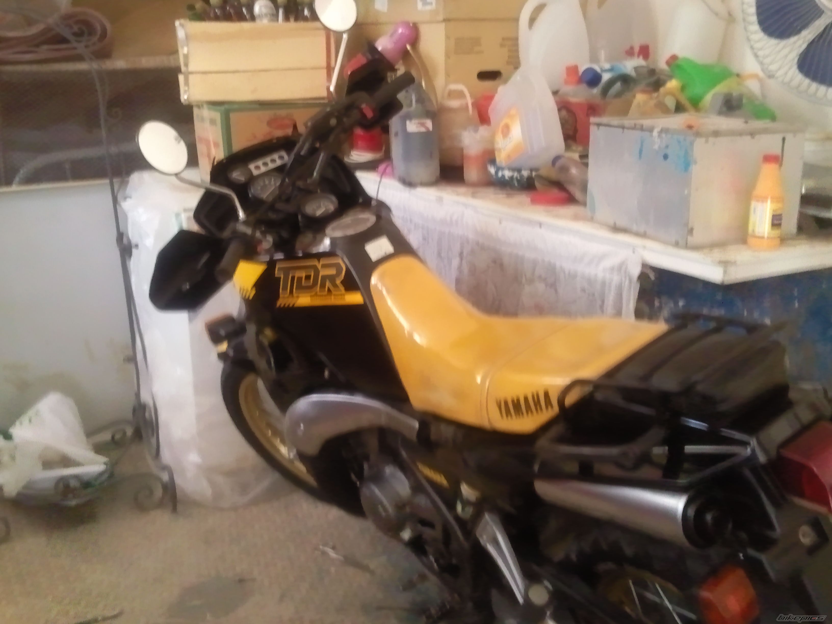 Photo 2592483