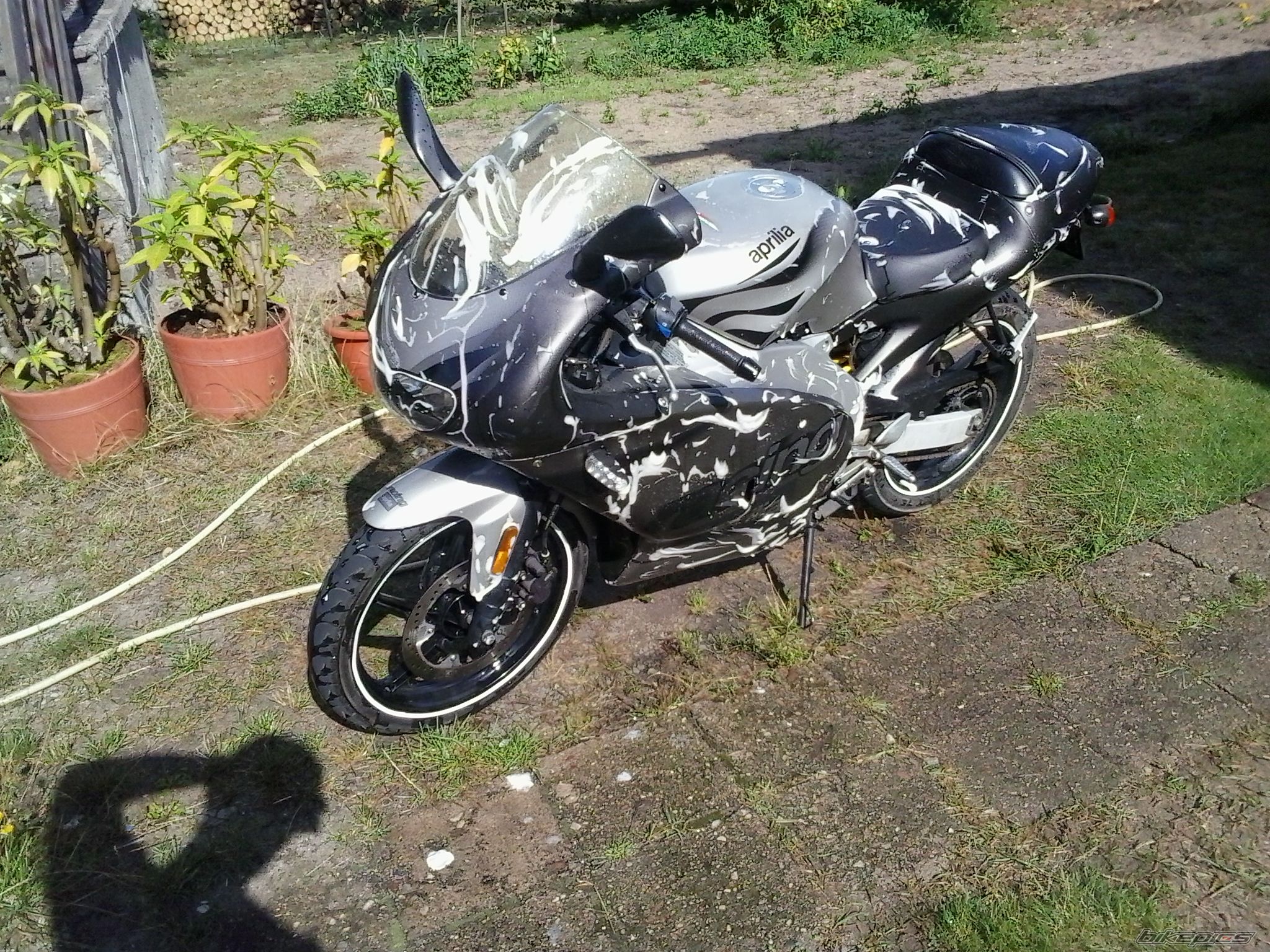 Photo 2592591