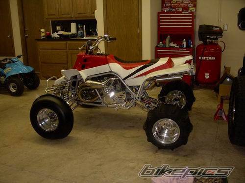Photo 259267