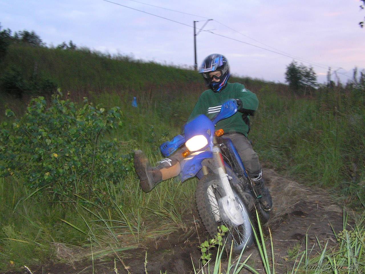 Photo 259273