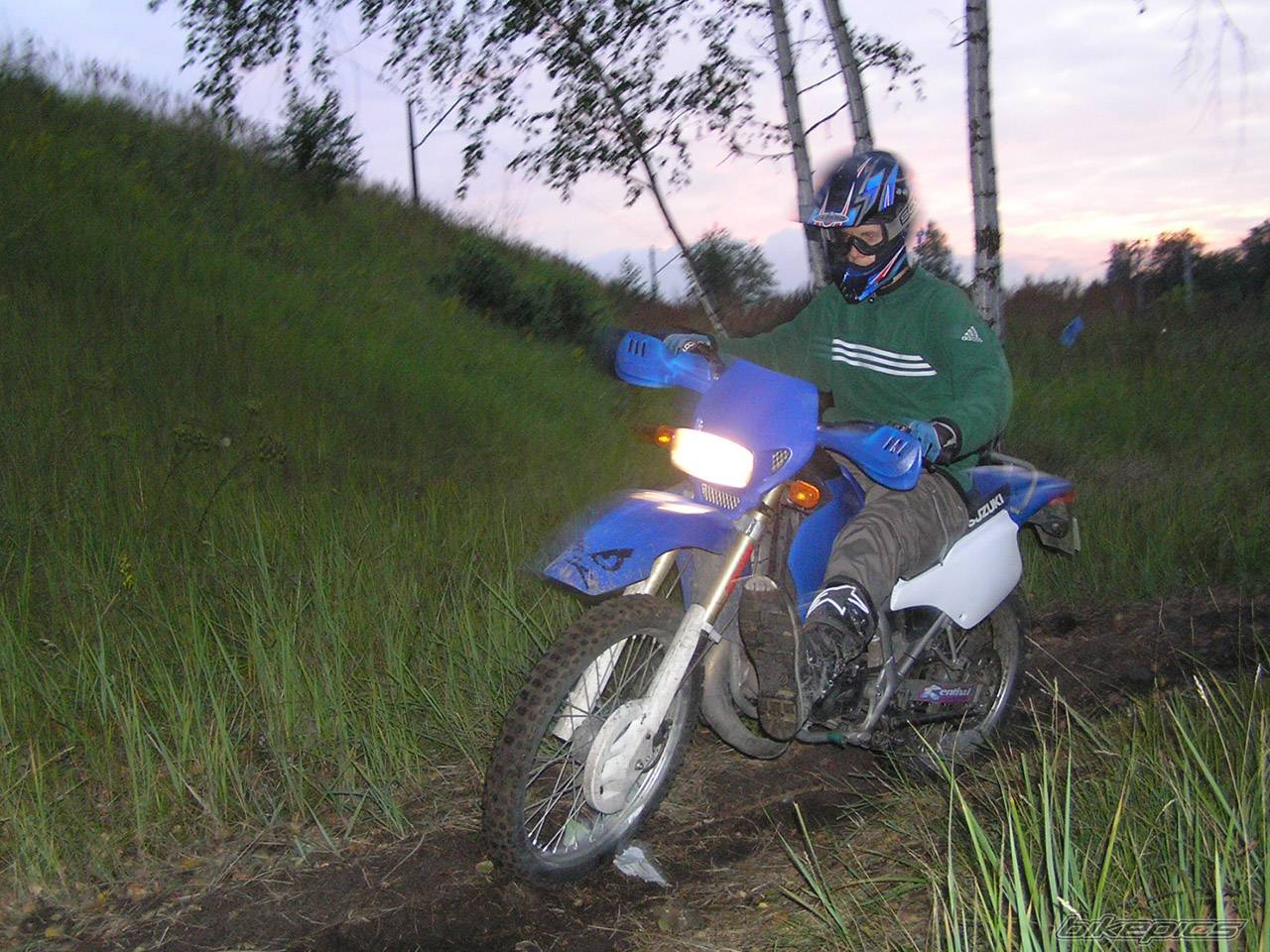 Photo 259274