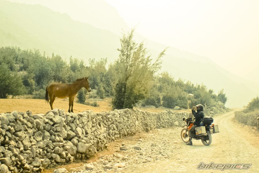 Photo 2592776