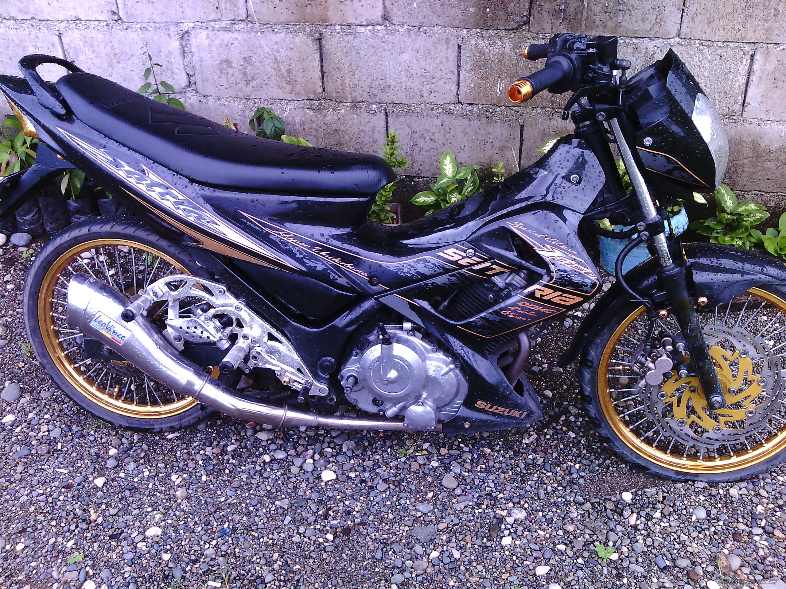 Photo 2592814
