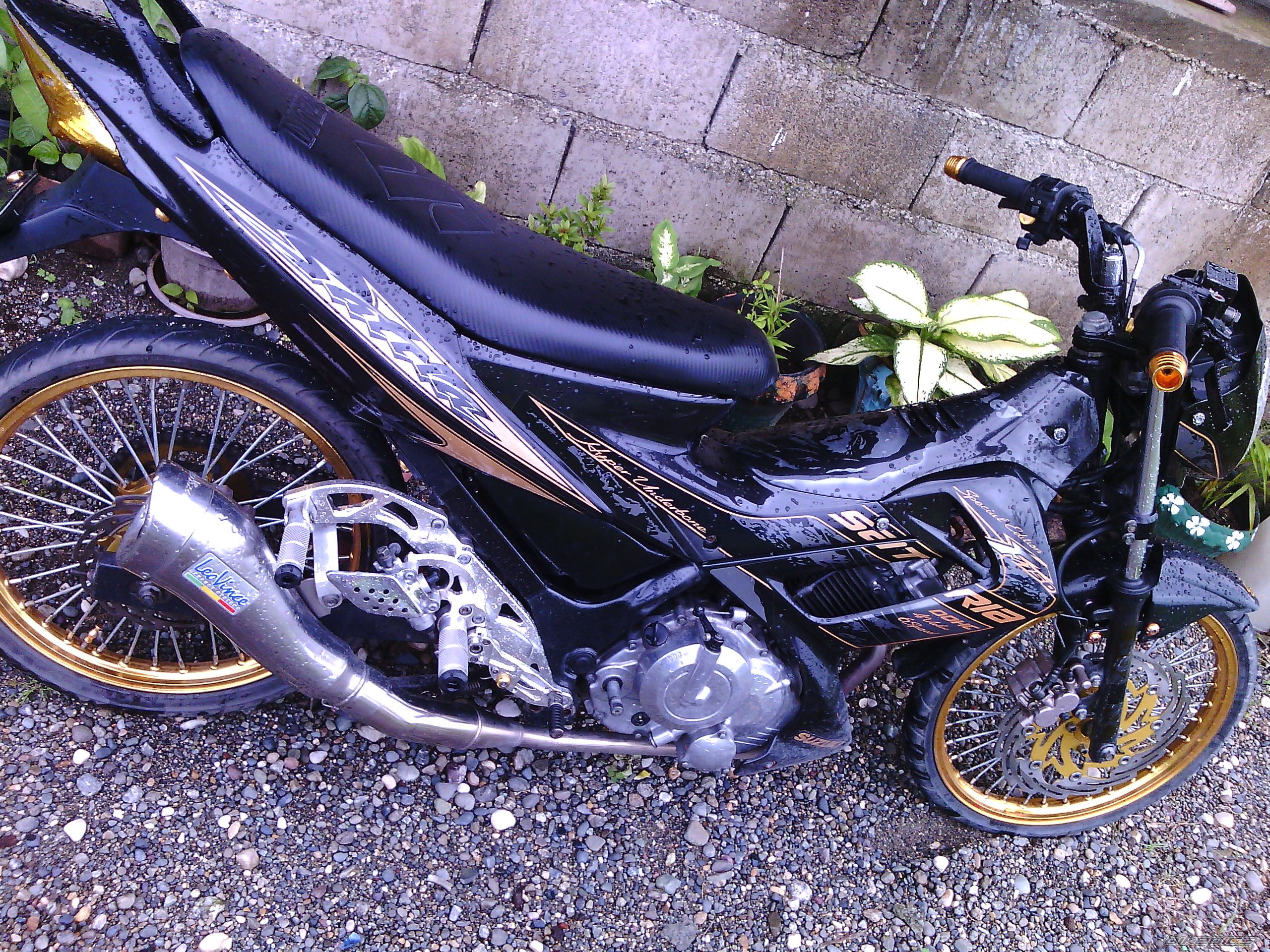 Photo 2592817