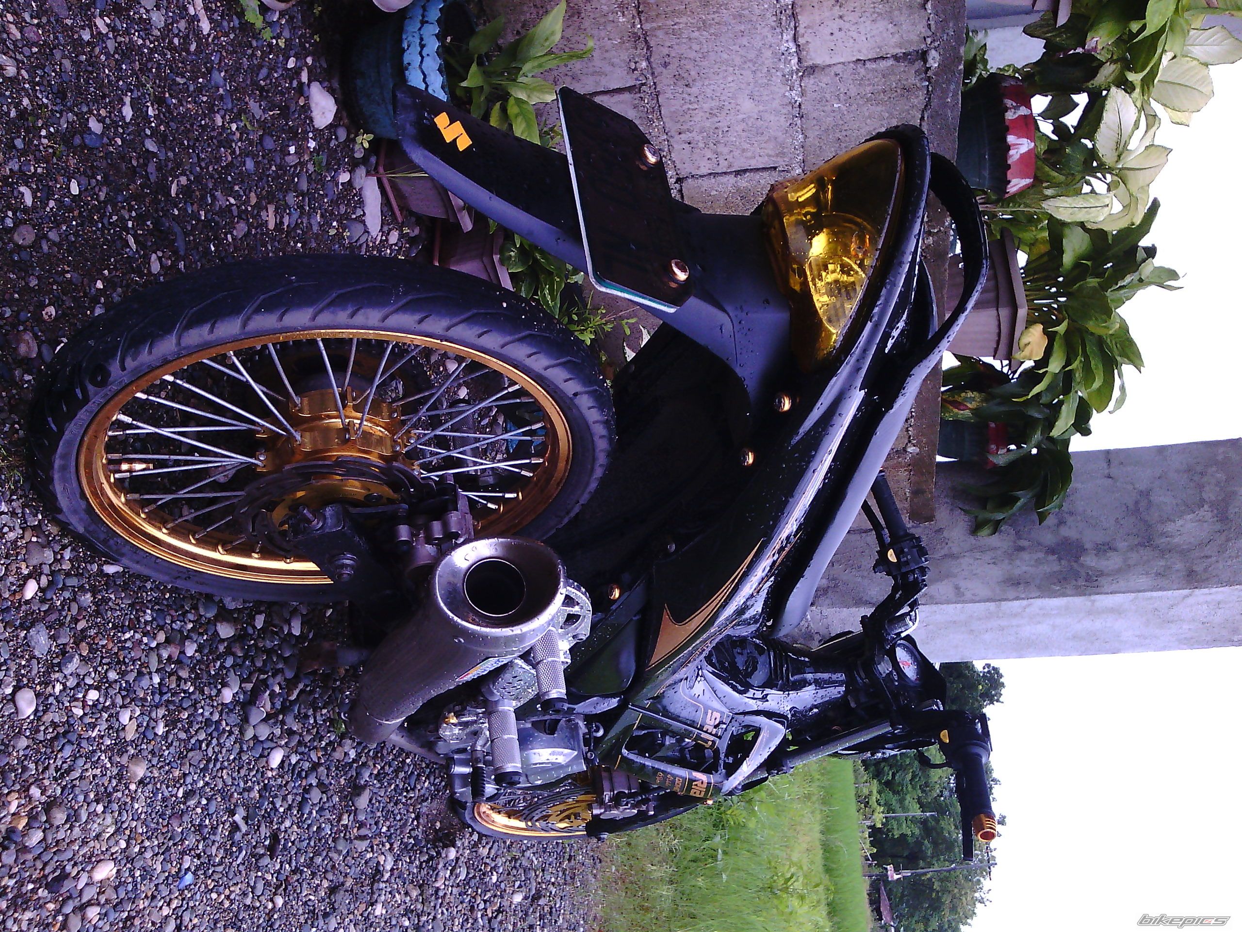 Photo 2592818