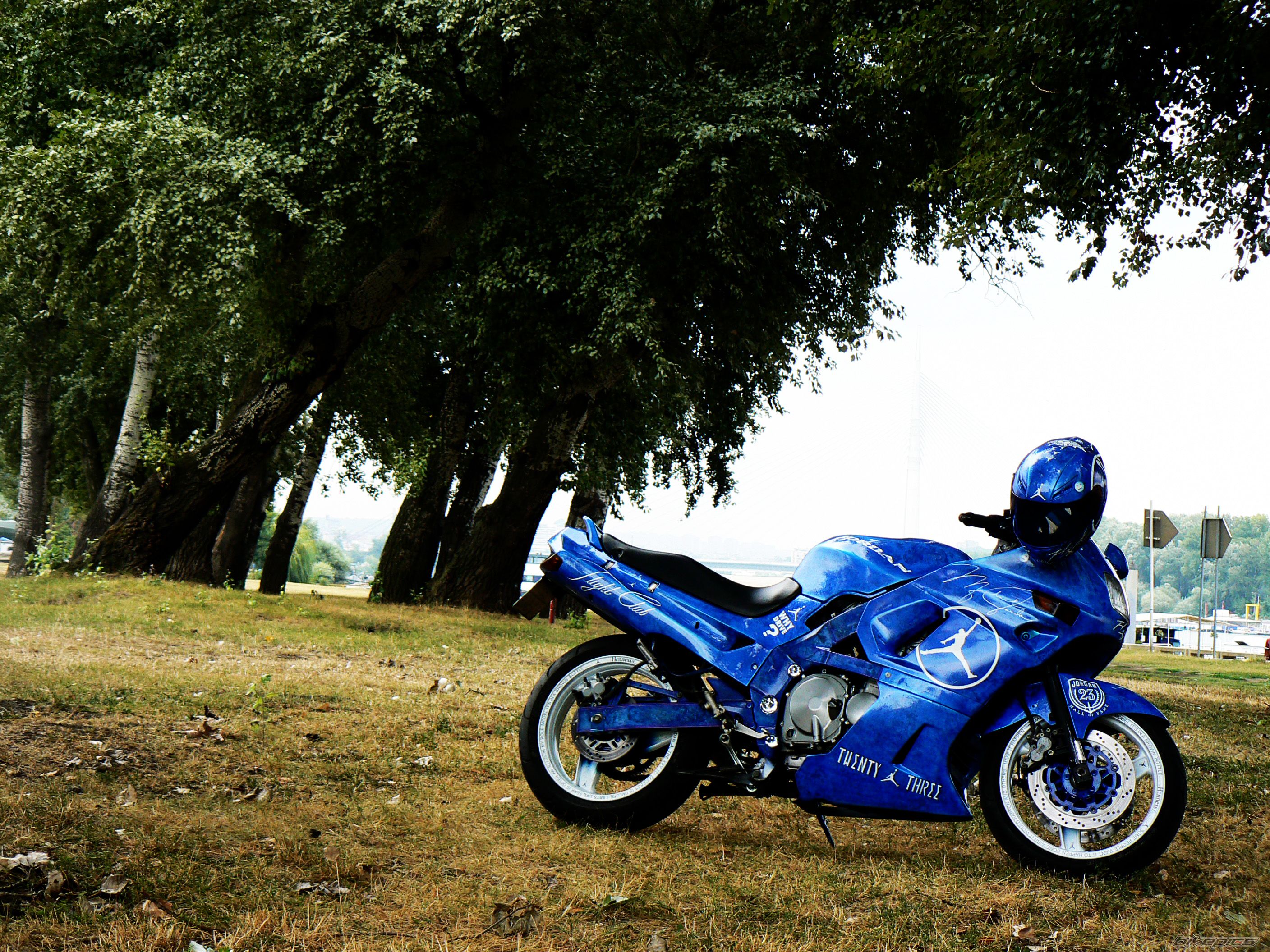 Photo 2592858