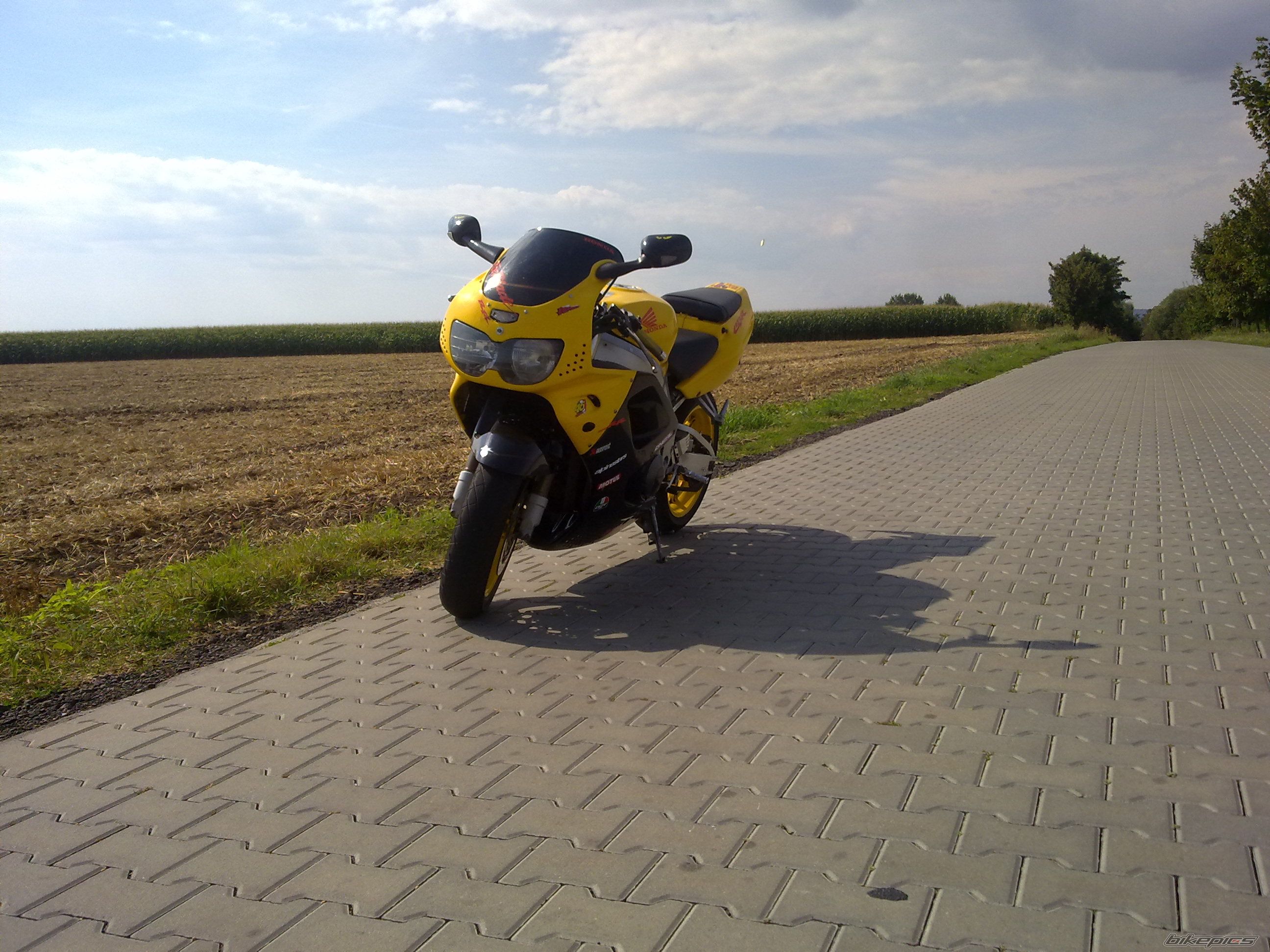 Photo 2592884