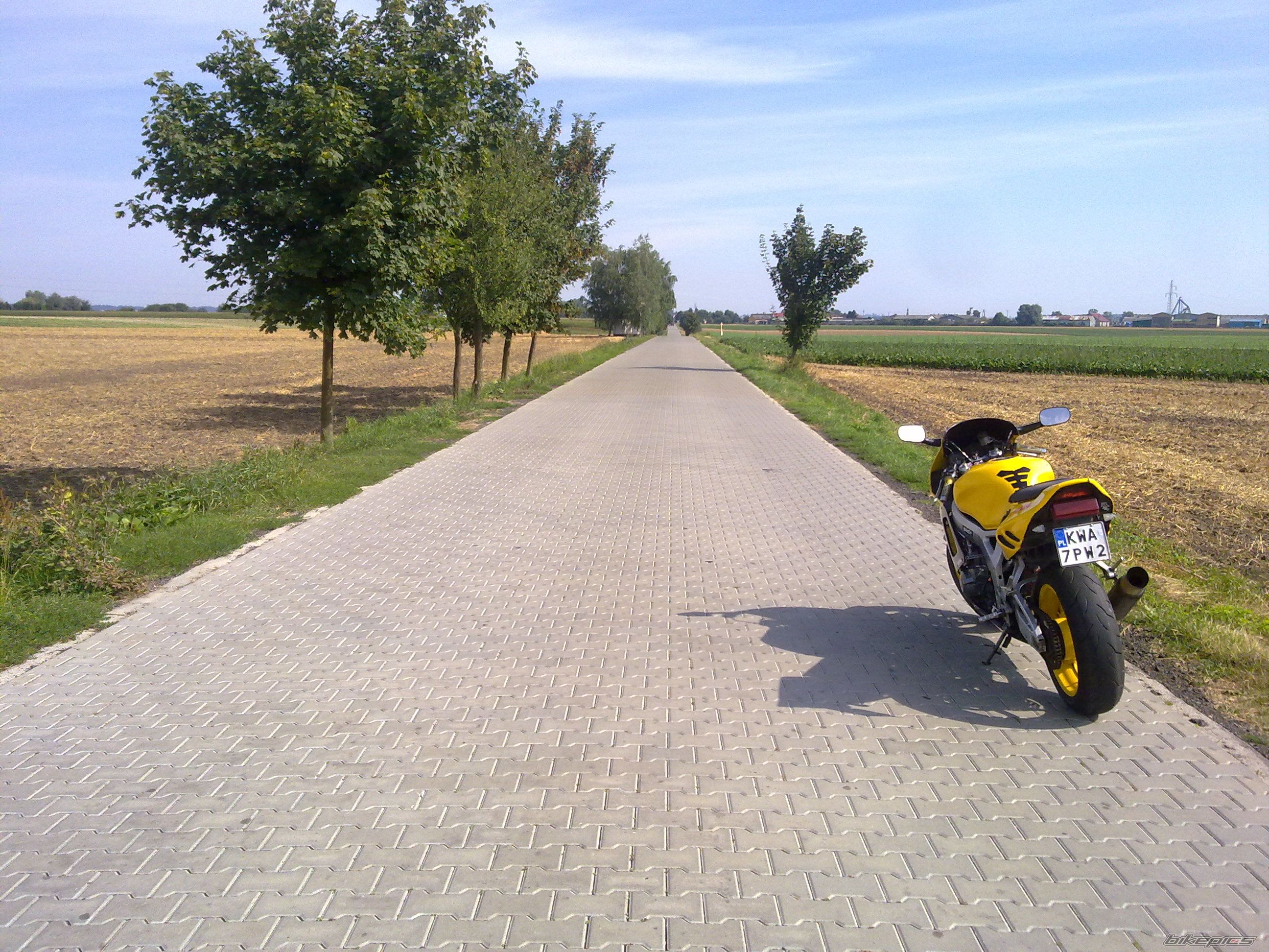 Photo 2592885