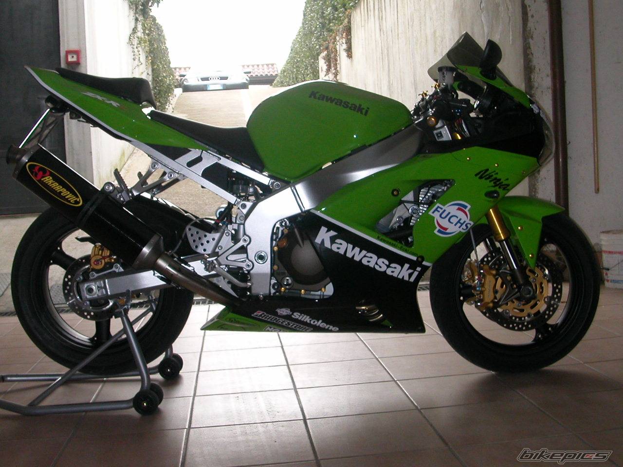 Photo 259291