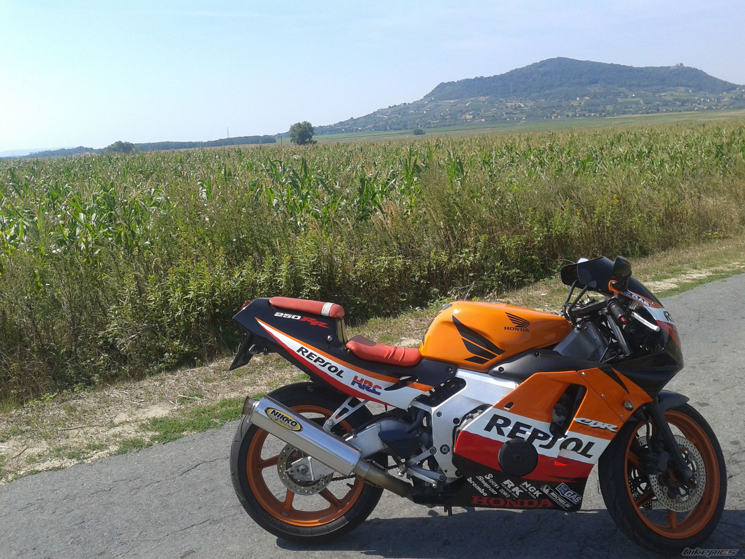 Photo 2592939