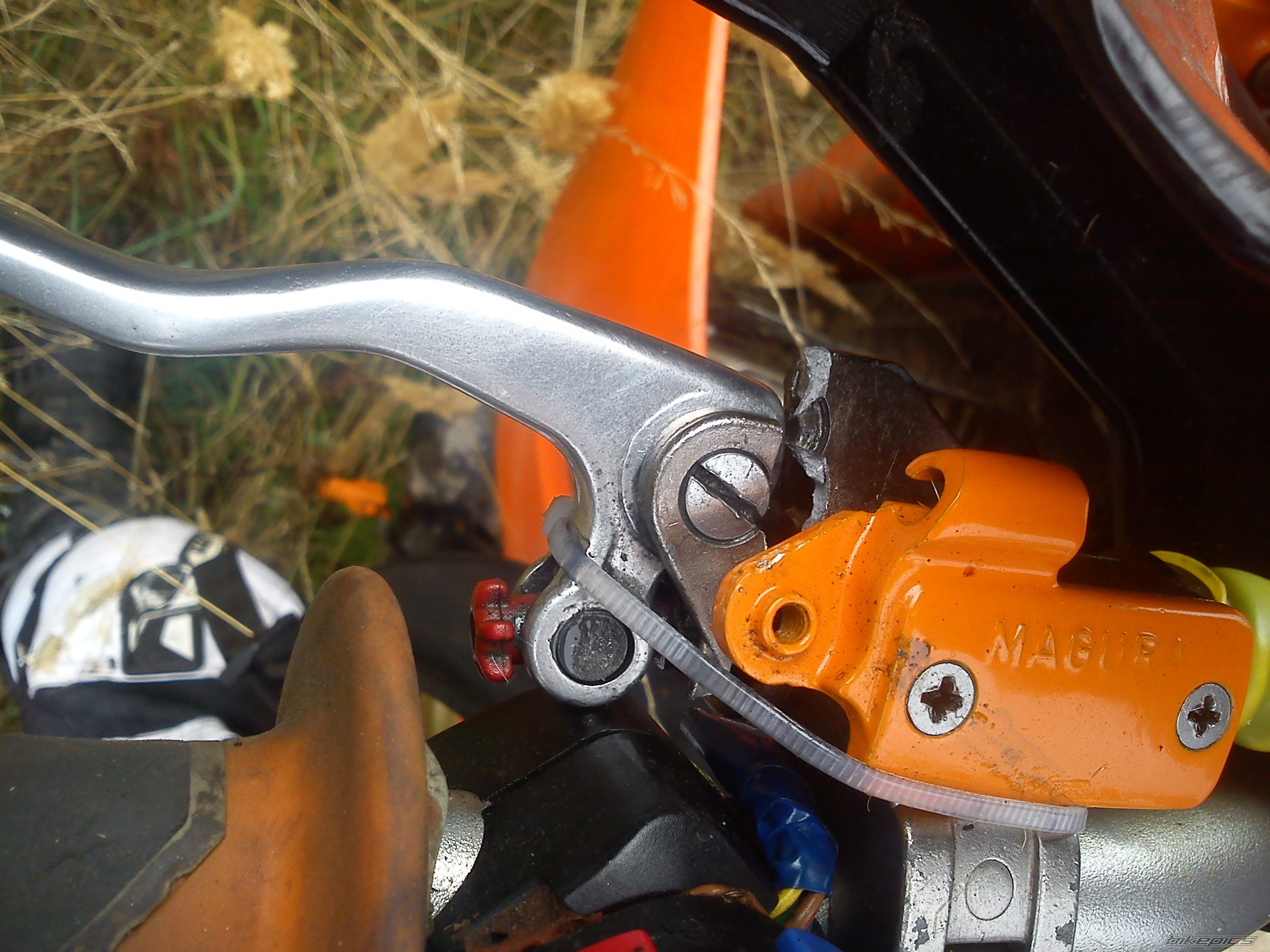 Photo 2592970