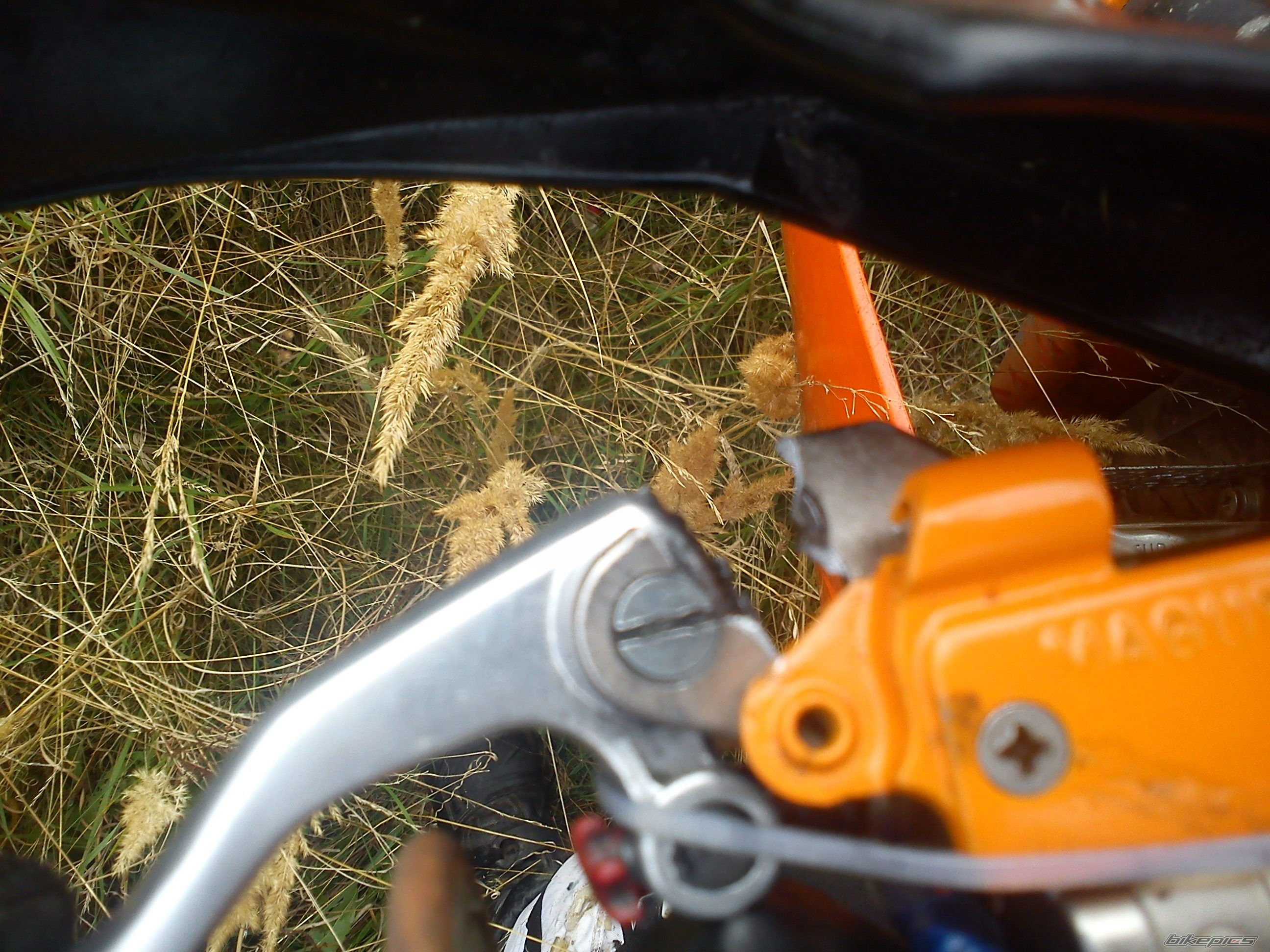 Photo 2592972