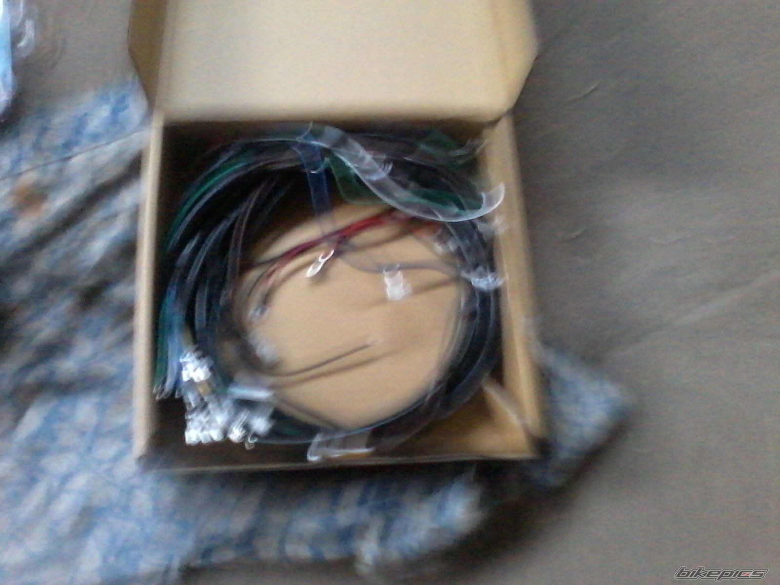Photo 2593013