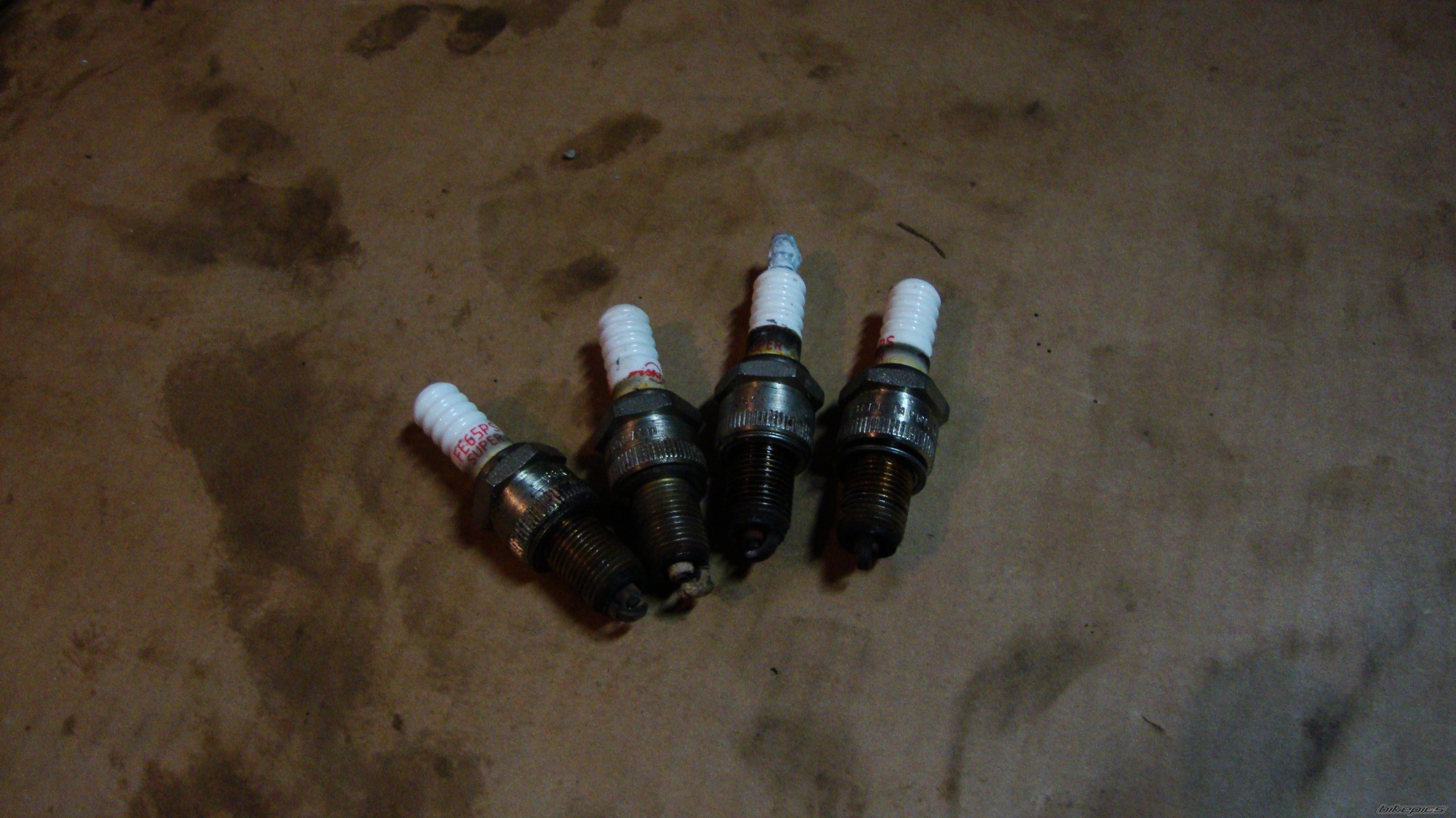 Photo 2593063