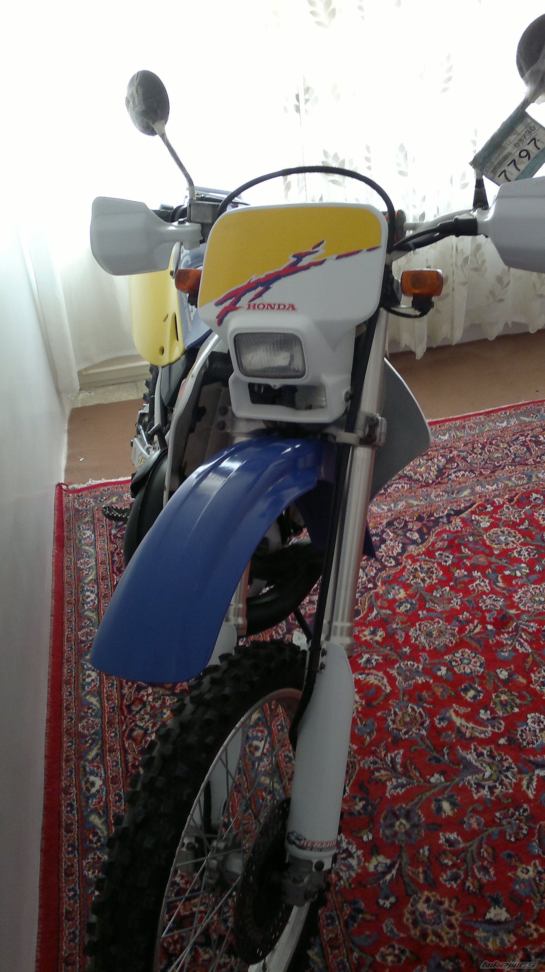 Photo 2593234