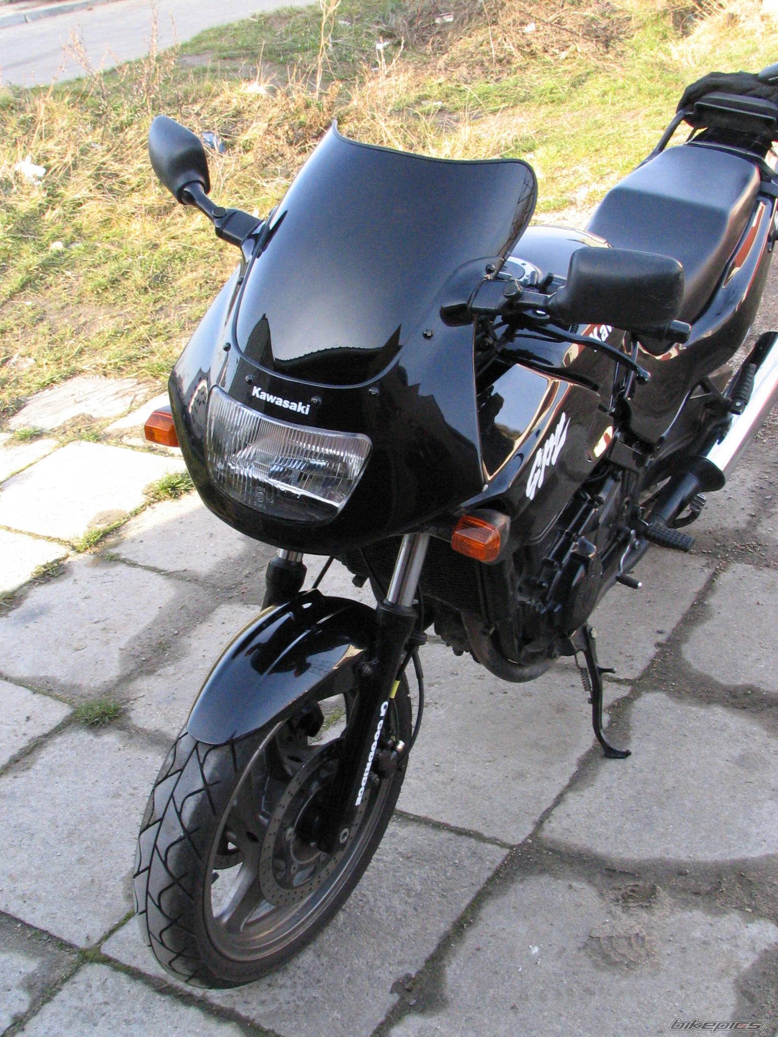 Photo 259331