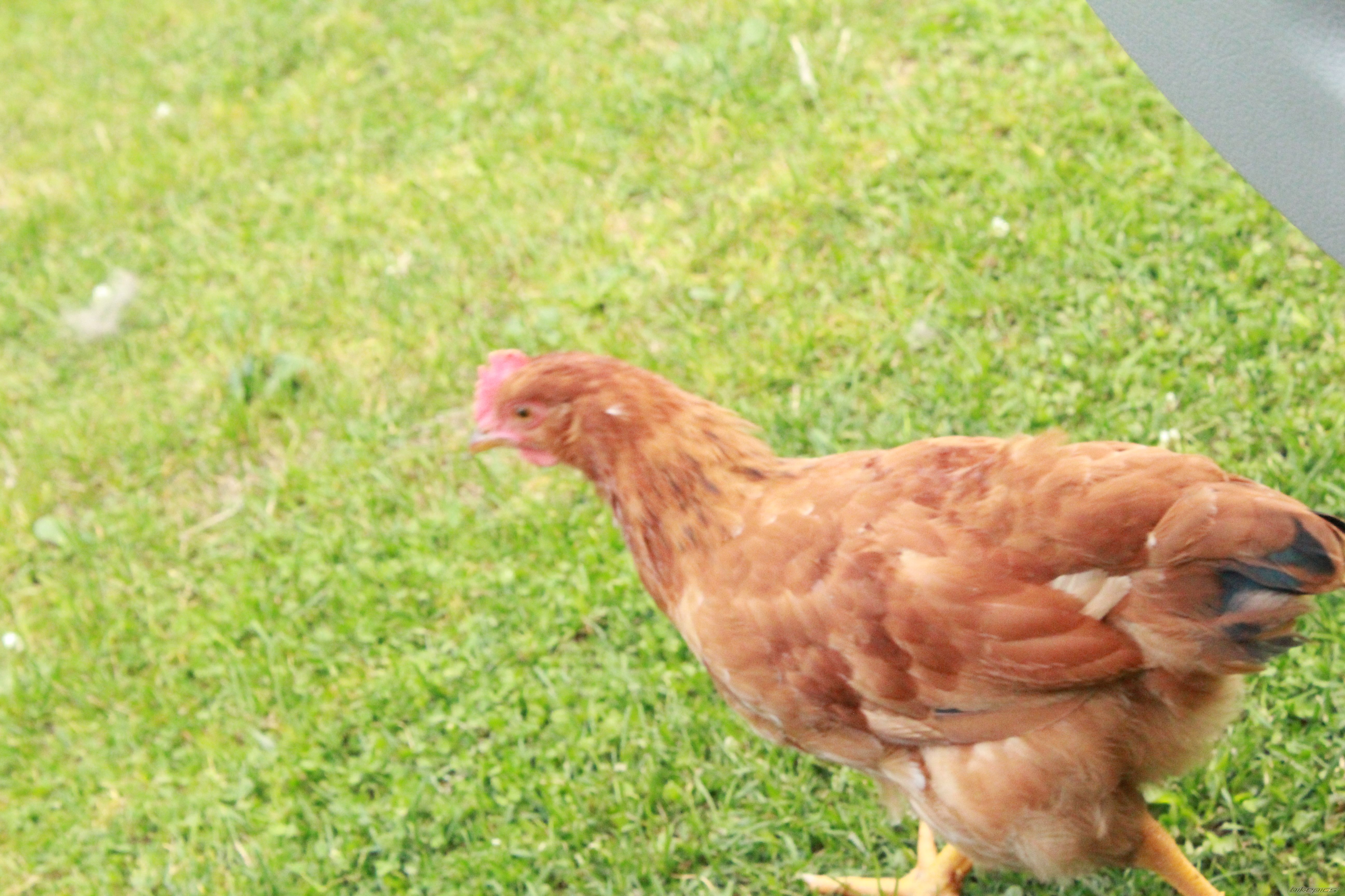 Photo 2593315