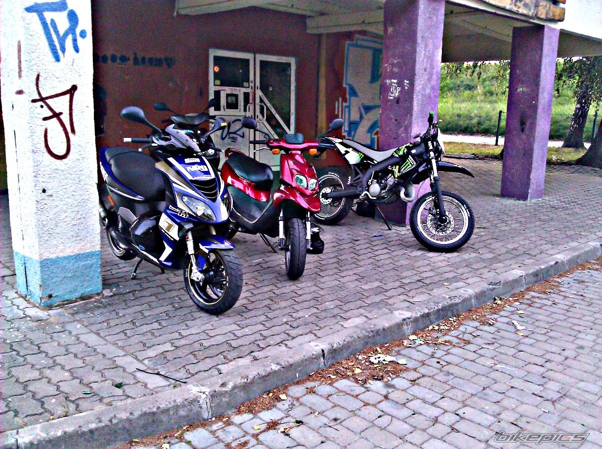 Photo 2593342