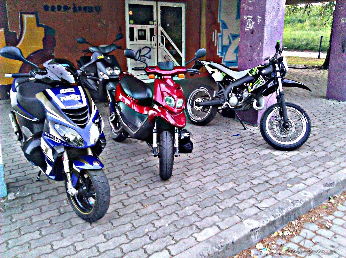 Photo 2593343