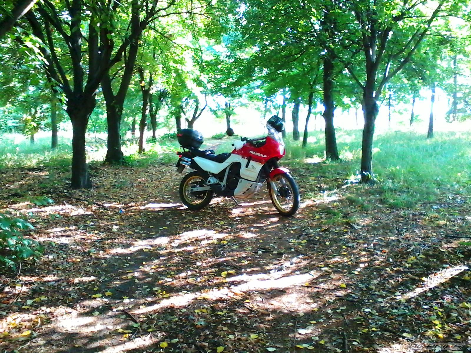Photo 2593415