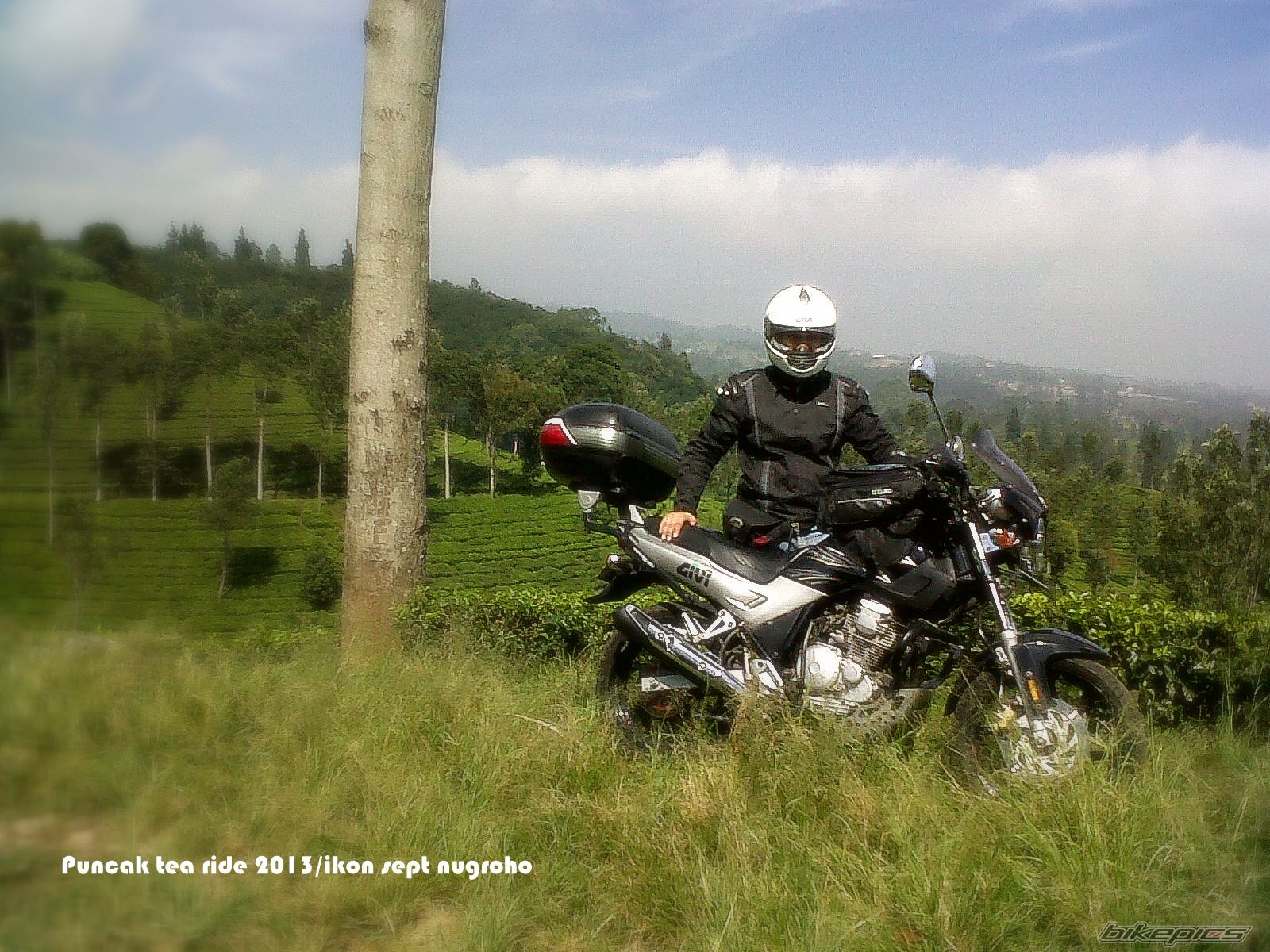 Photo 2593533