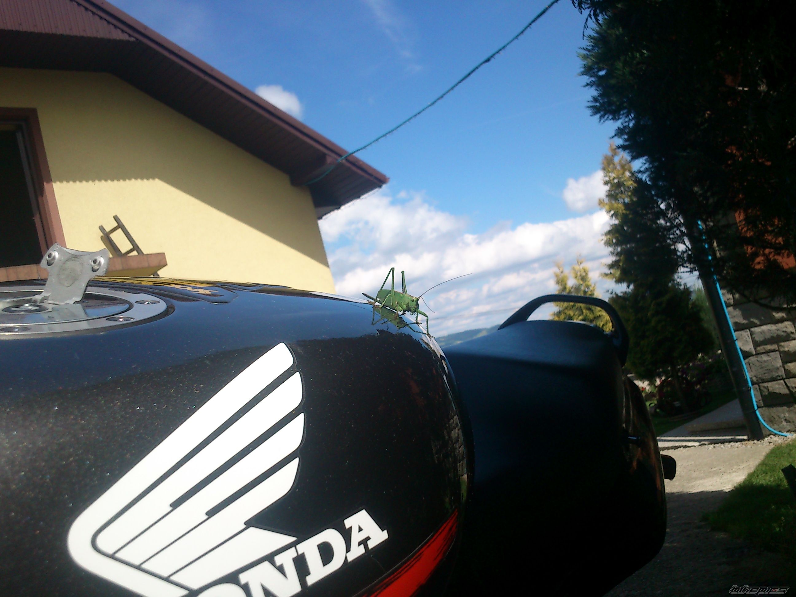 Bike Photo 2593591