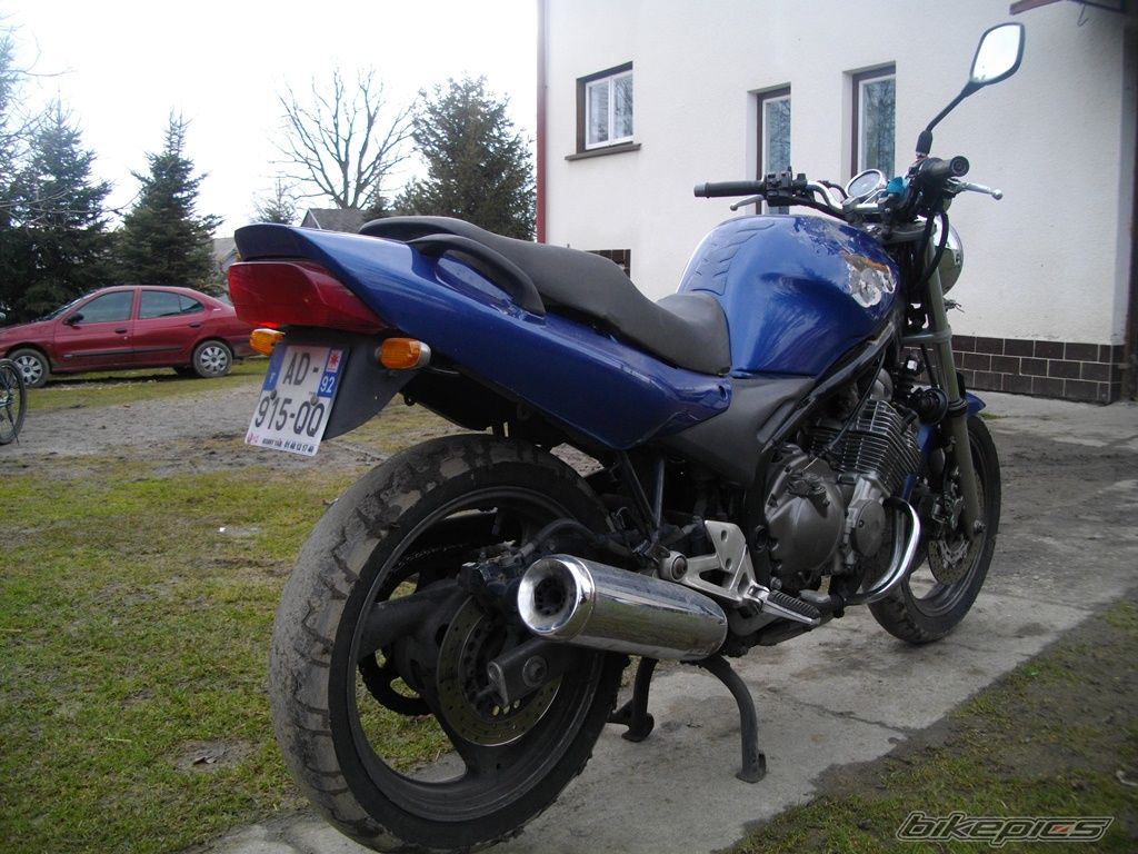 Photo 2593683