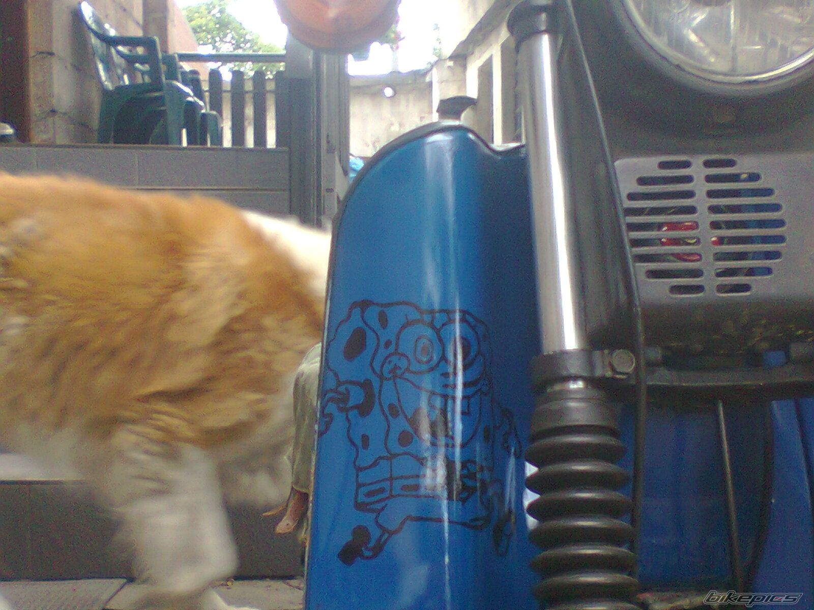 Photo 2593709