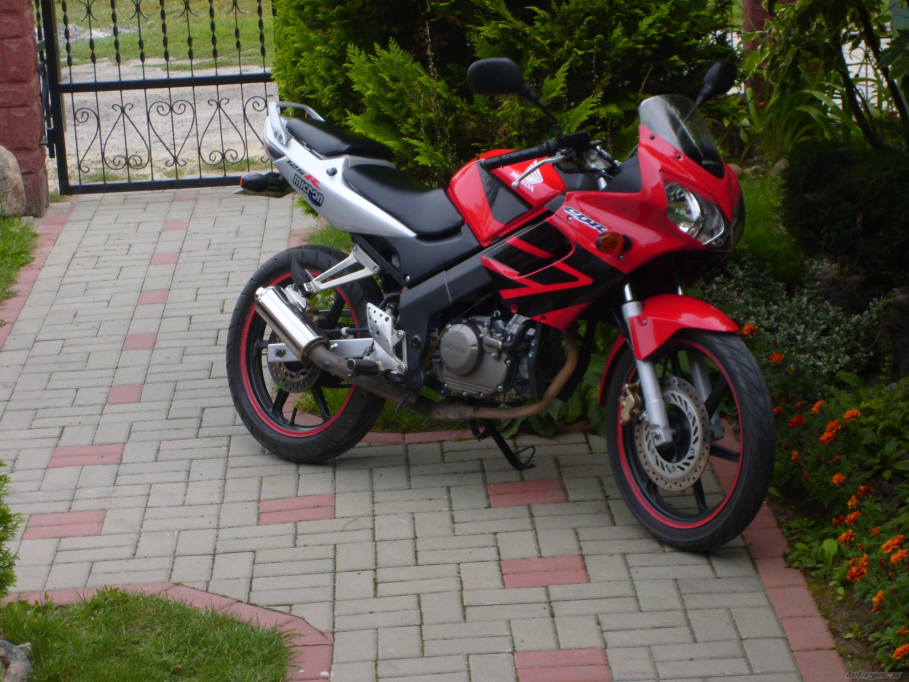 Photo 2593738