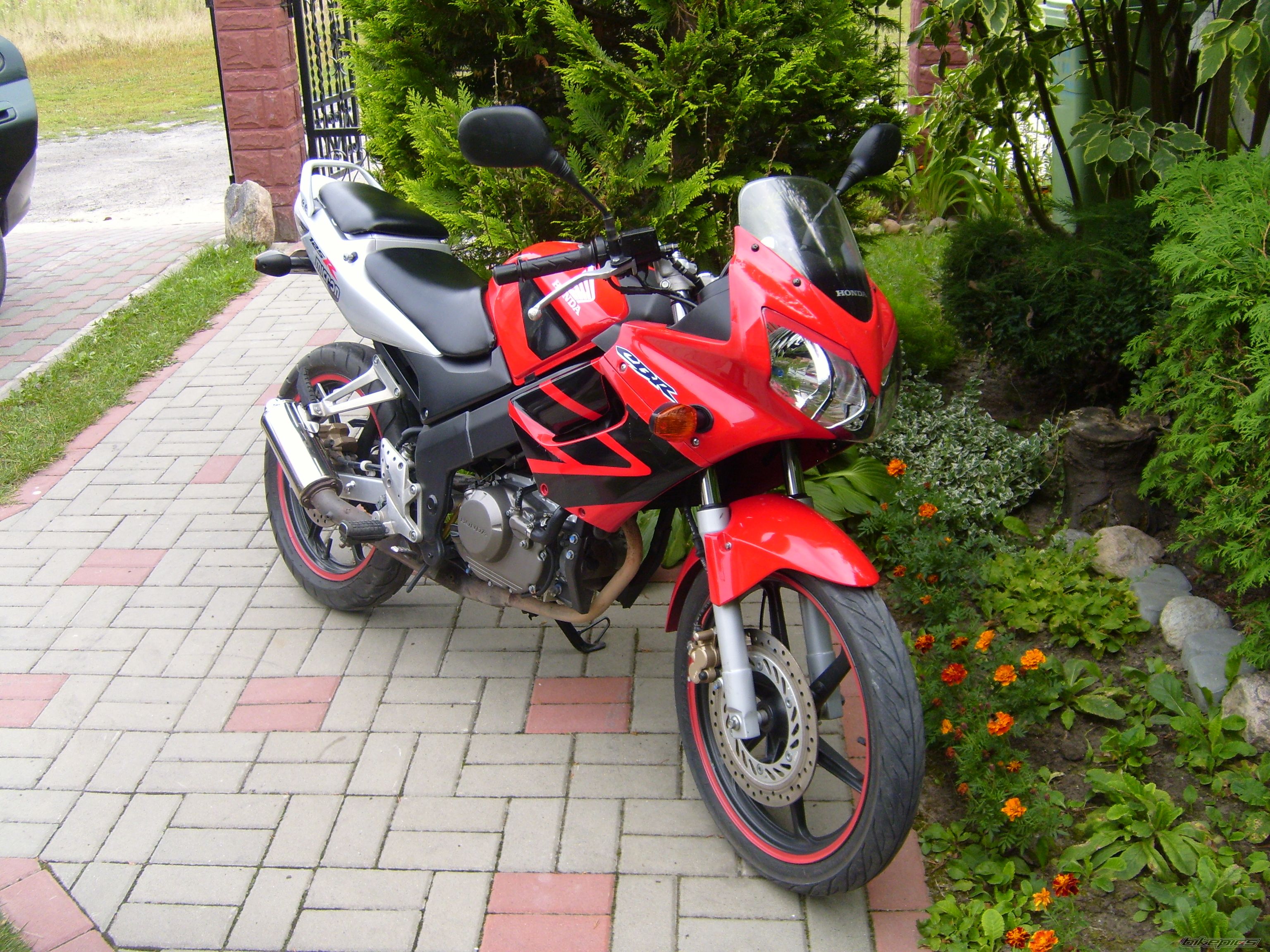Photo 2593739