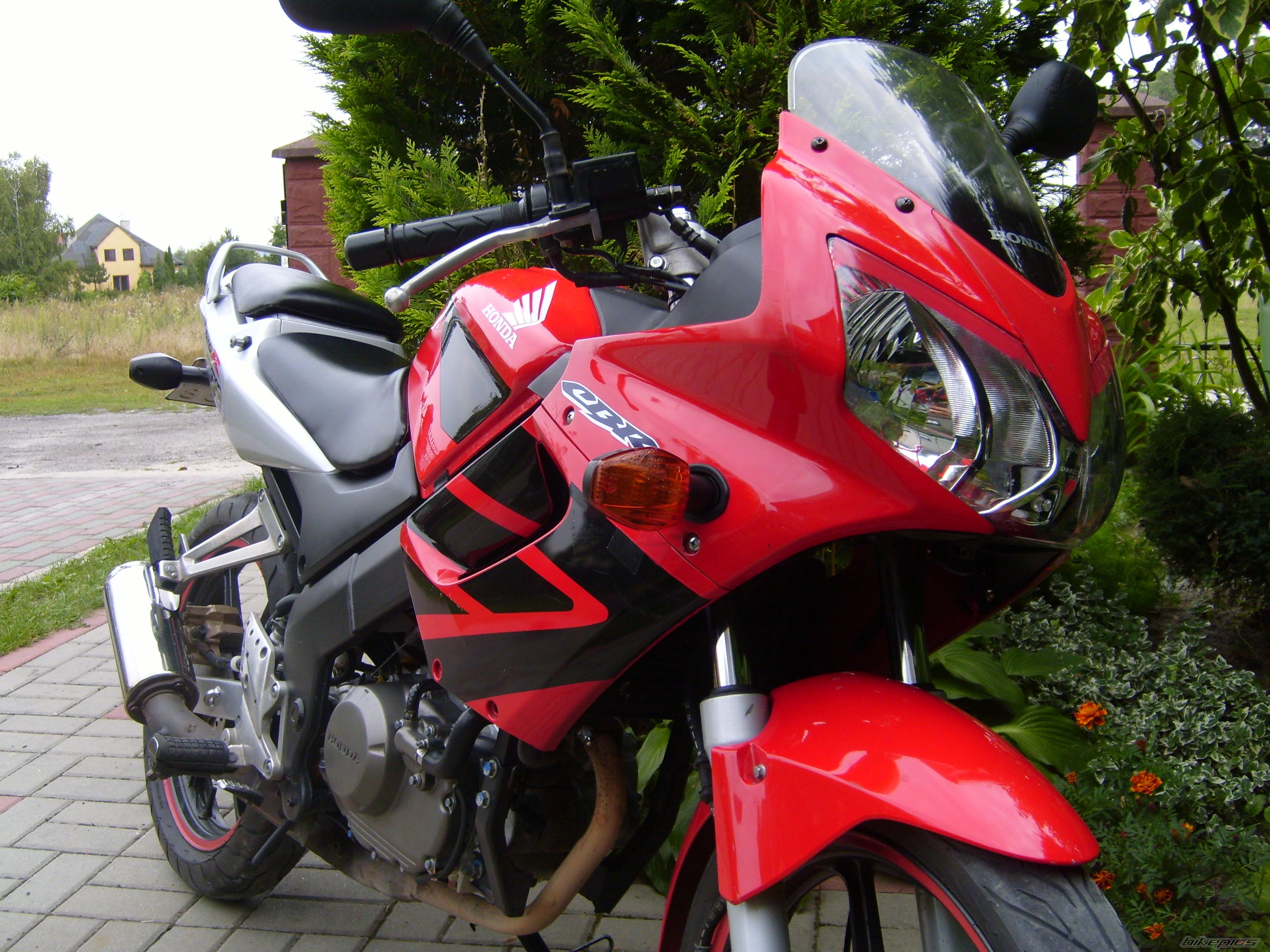 Photo 2593743
