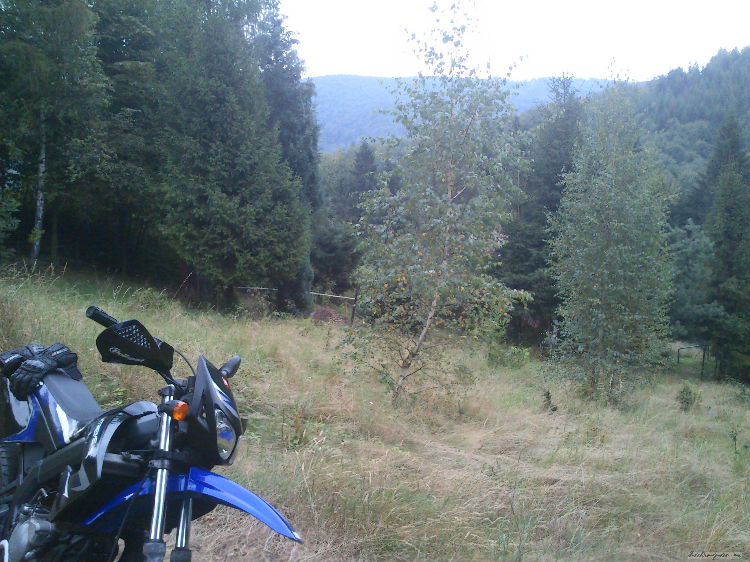 Photo 2593809