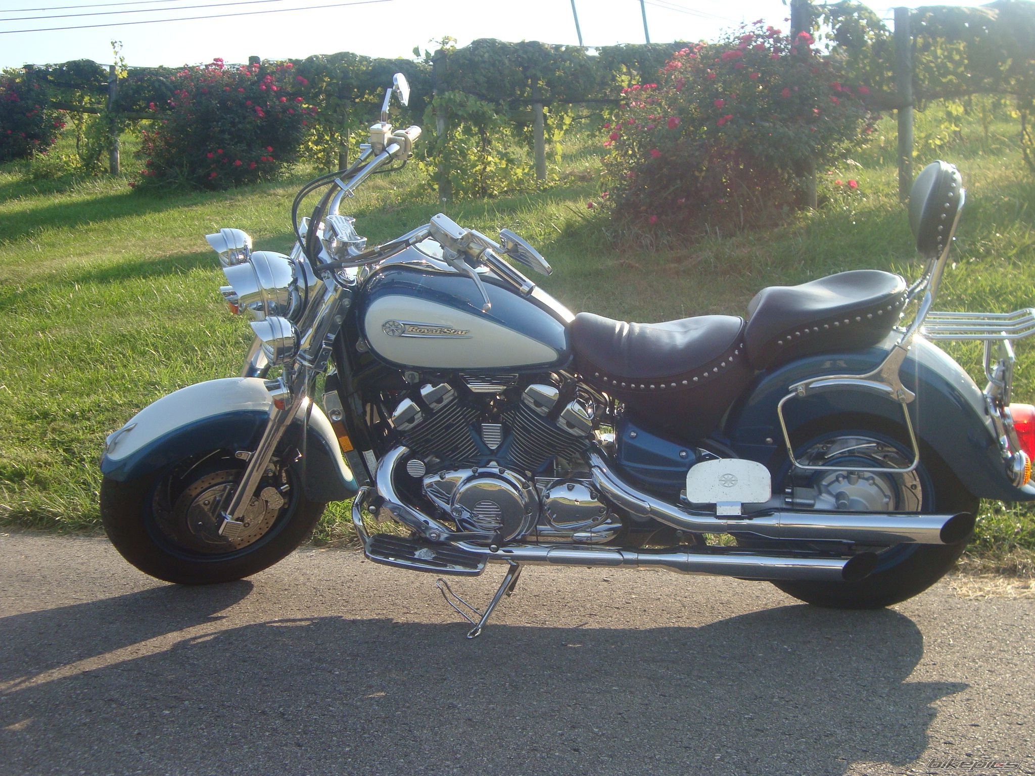 Photo 2593859