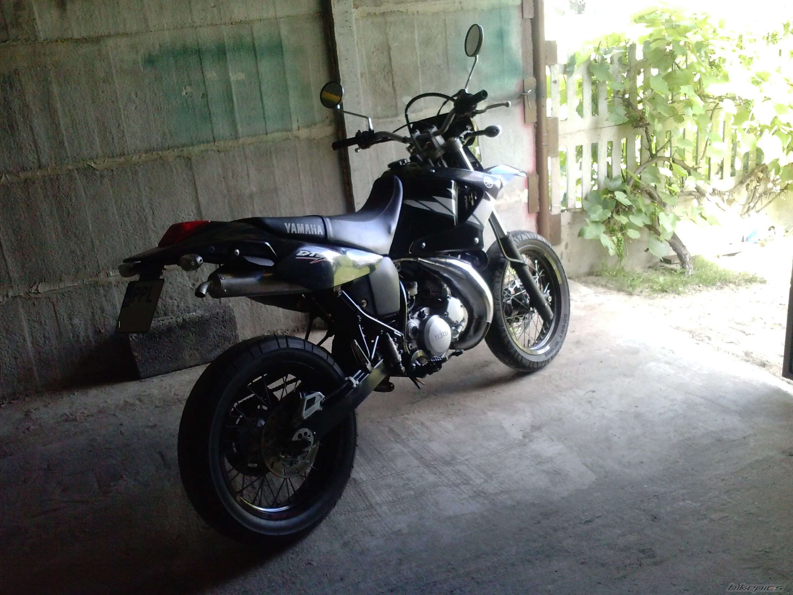Photo 2593950