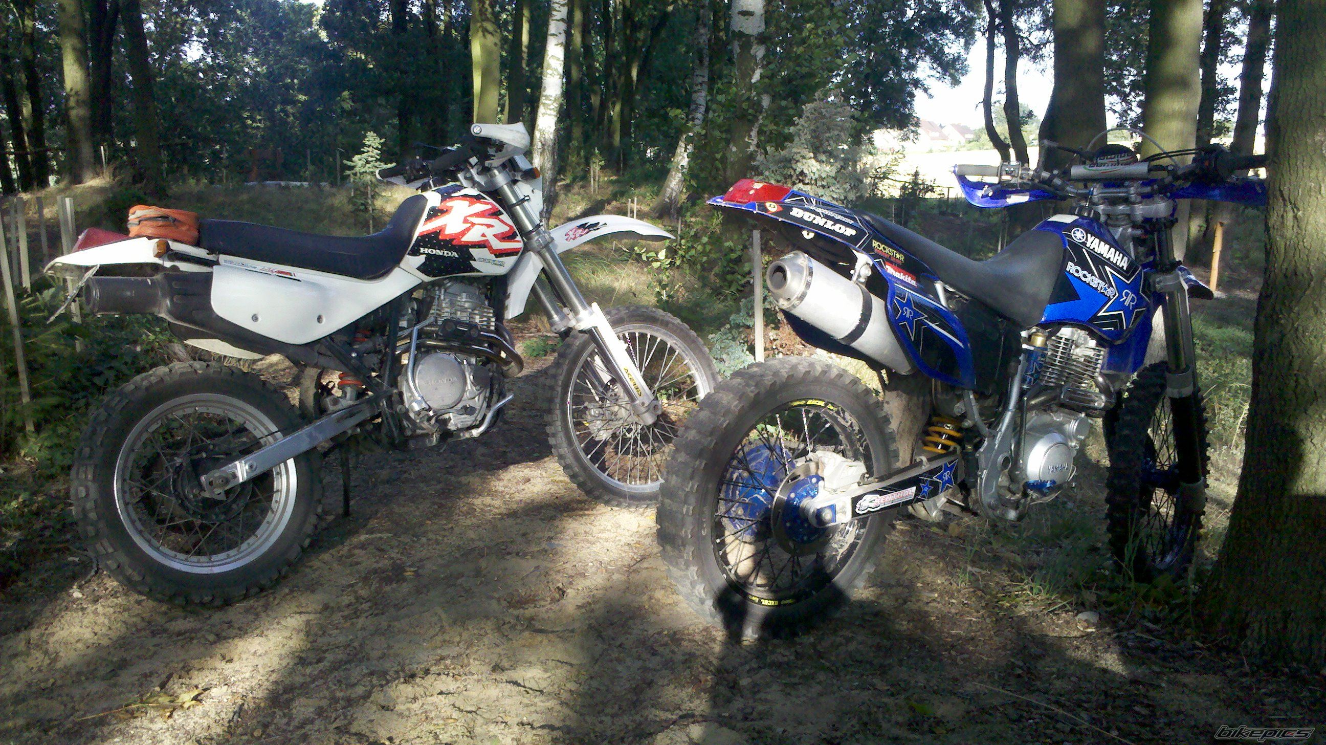 Photo 2593955